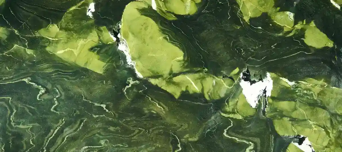 Avocado Full Slab